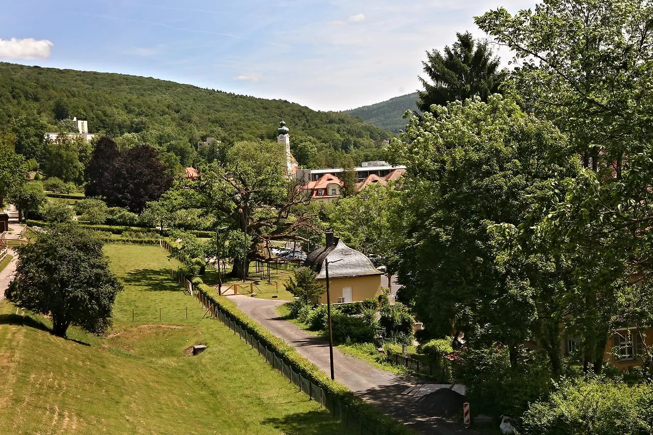 Rhoen Hotel Waldcafe St. Georg Staatsbad Brückenau